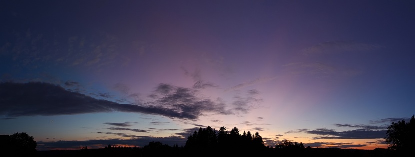 purpurlicht011vs