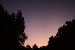 purpurlicht012vs
