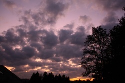 purpurlicht013vs