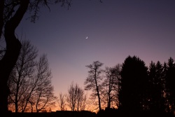 purpurlicht015vs