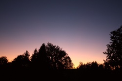 purpurlicht016vs