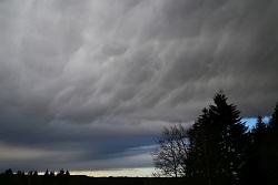 Mammatus-20190308-vs