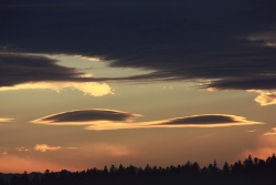lenticularis-012-vs