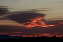 lenticularis005vs