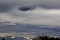 lenticularis009vs
