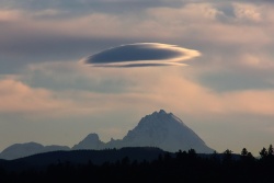 lenticularis011vs