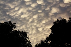 mammatus-008-vs