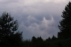 mammatus-009-vs