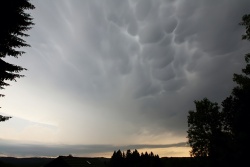 mammatus006vs