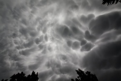 mammatus007vs