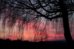 wolkenstimmung020vs